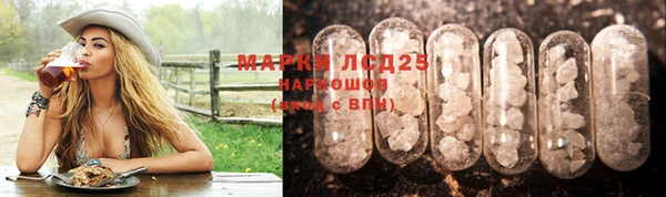 кокс Алексин