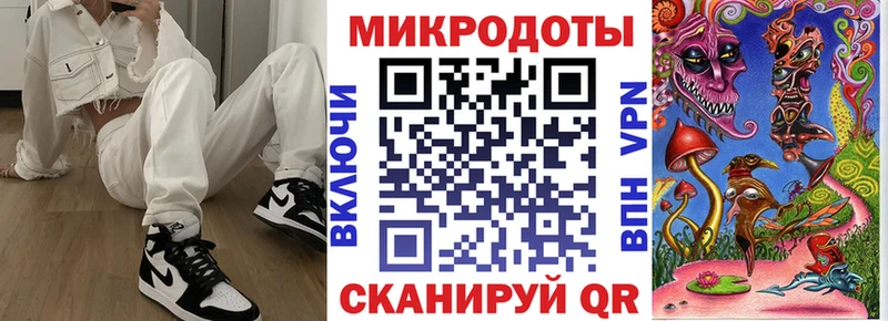 где продают   Боровичи  Псилоцибиновые грибы Psilocybine cubensis 